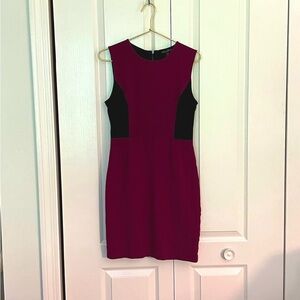 Kenneth Cole Magenta Sheath Colorblock Mini Dress Crew Neck Sleeveless Size 6